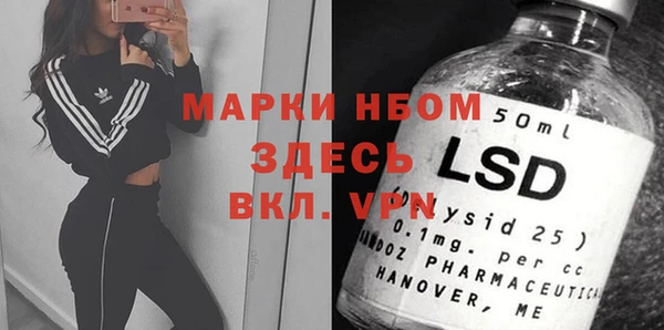 ПСИЛОЦИБИНОВЫЕ ГРИБЫ Иннополис