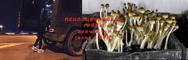 mix Зеленодольск