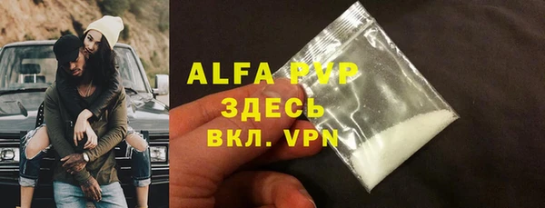ПСИЛОЦИБИНОВЫЕ ГРИБЫ Иннополис