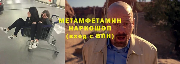 мдпв Инсар
