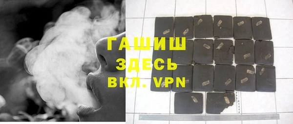 мдпв Инсар