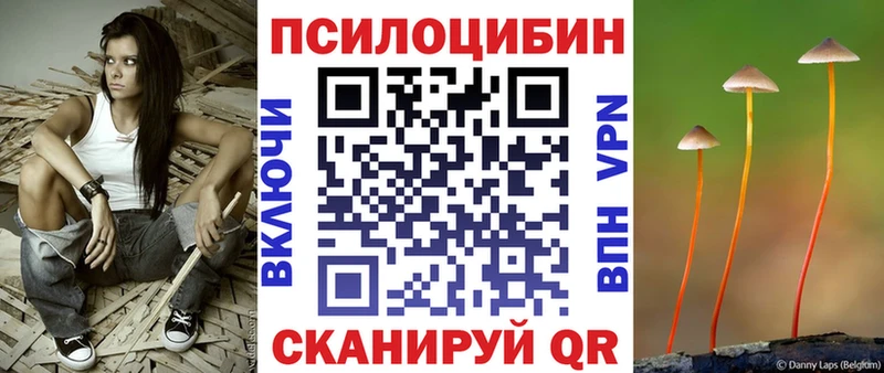 Псилоцибиновые грибы мухоморы  Купить где  Катайск 